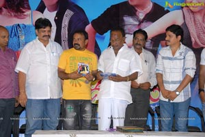 Paandavulu Audio Release Function