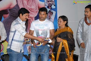 Paandavulu Audio Release Function