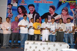 Paandavulu Audio Release Function