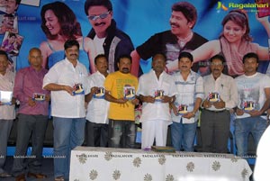 Paandavulu Audio Release Function