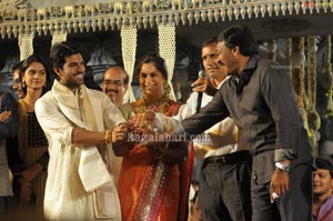 Ram Charan Upasana Wedding Reception for Fans at Temple Trees