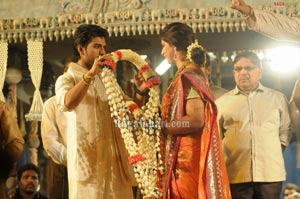 Ram Charan Upasana Wedding Reception for Fans at Temple Trees