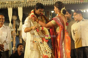 Ram Charan Upasana Wedding Reception for Fans at Temple Trees