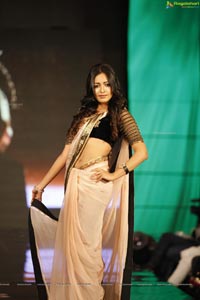 Hot and Spicy SIIMA 2012 Fashion Show