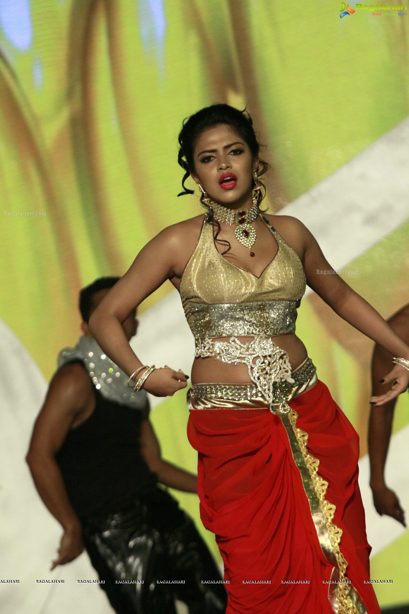 SIIMA 2012 Function