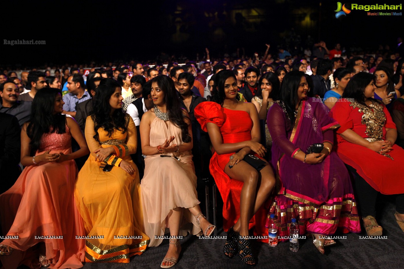 SIIMA 2012 Function