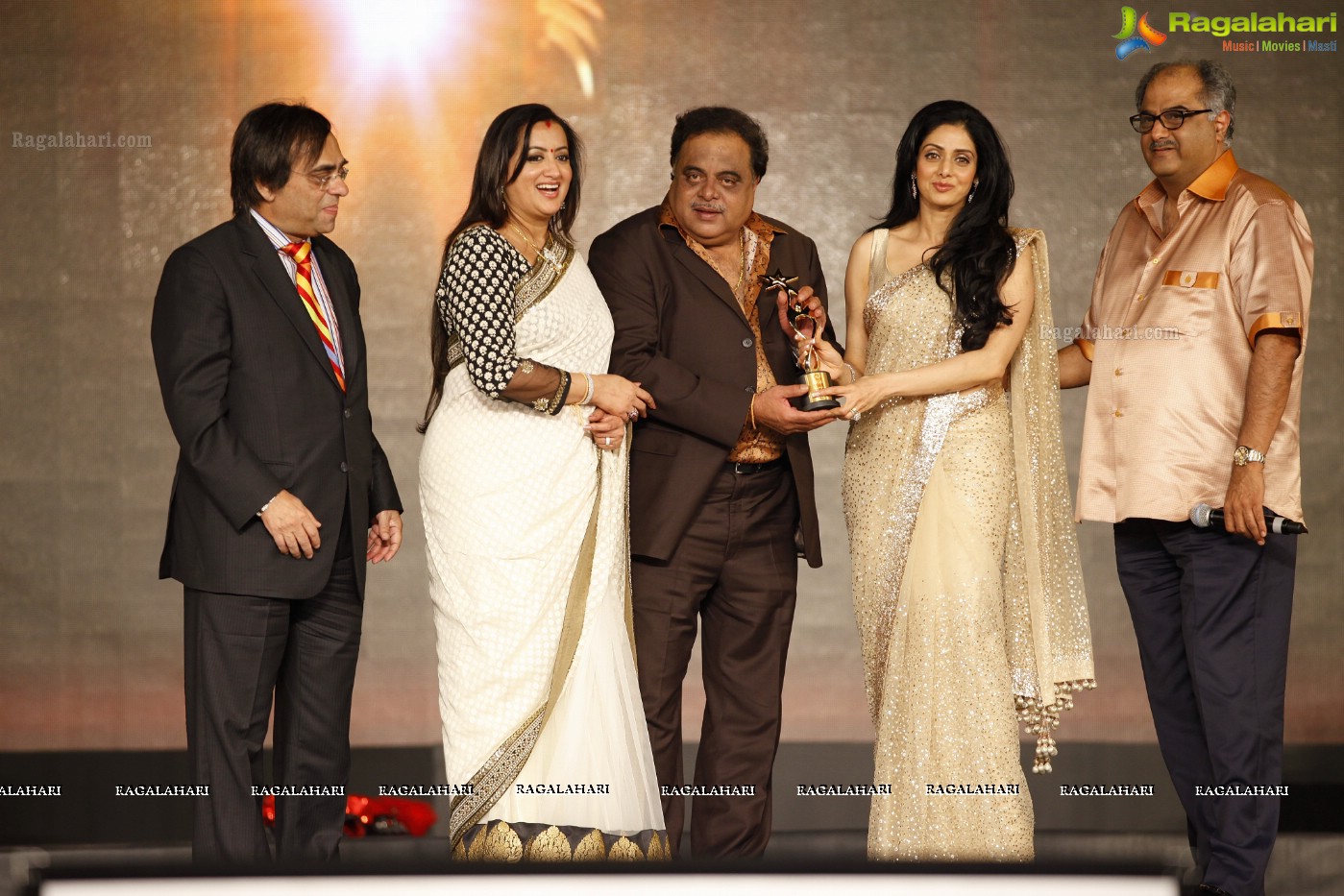 SIIMA 2012 Function