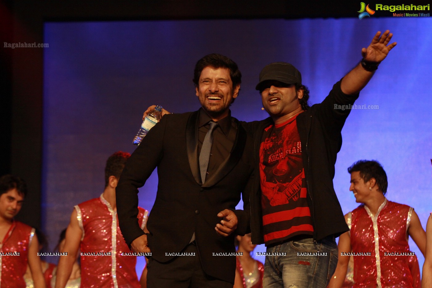 SIIMA 2012 Function