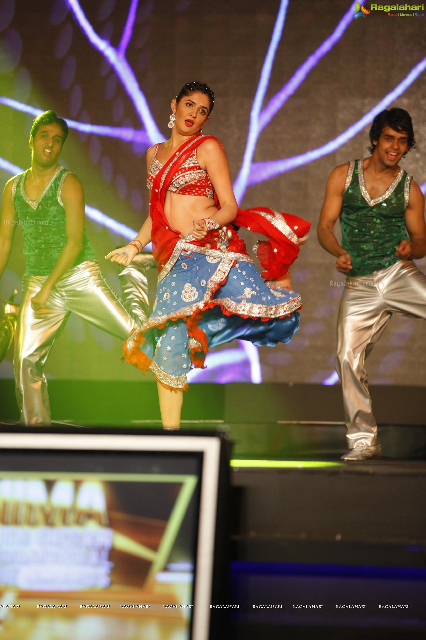 SIIMA 2012 Function