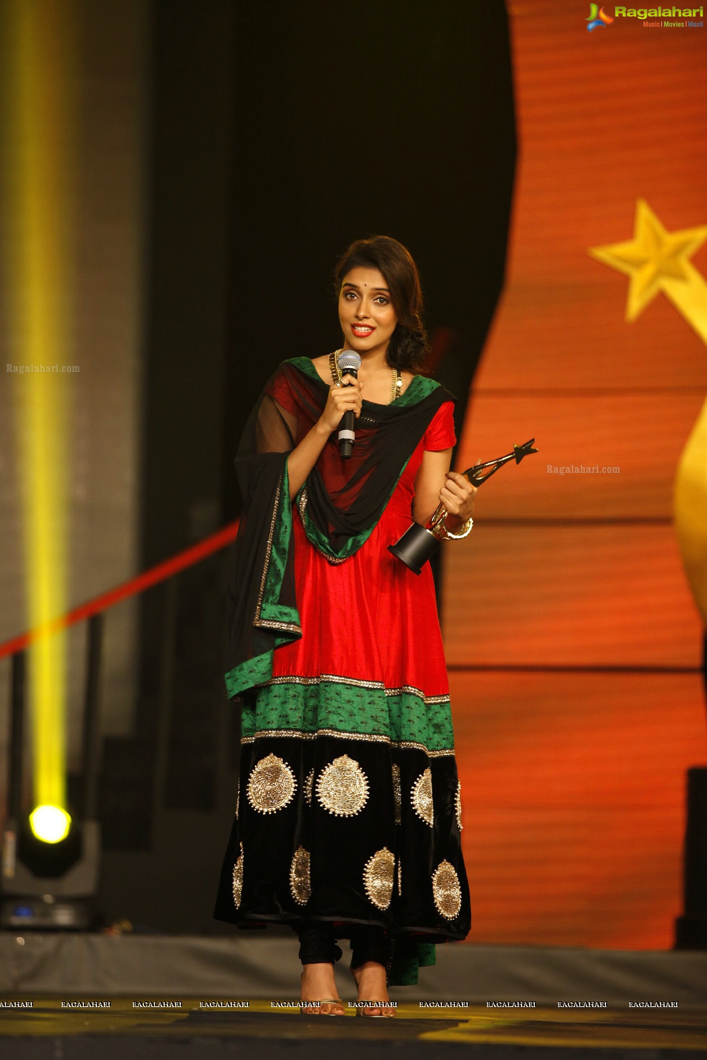 SIIMA 2012 Function