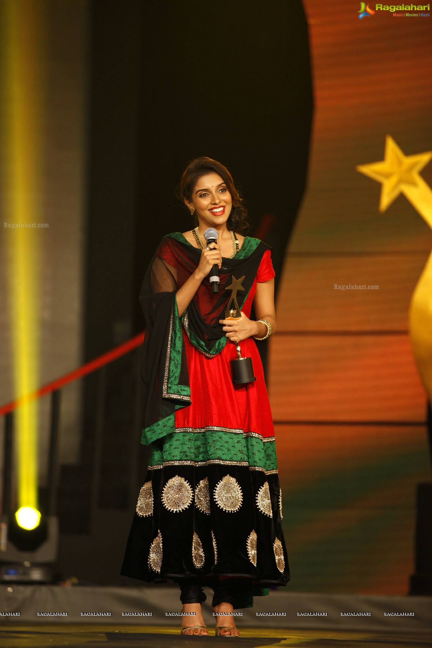 SIIMA 2012 Function