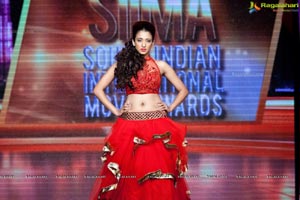 2012 South Indian International Movie Awards SIIMA Day 1 Photos