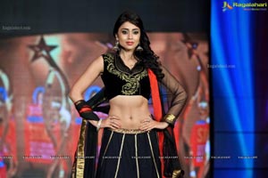 2012 South Indian International Movie Awards SIIMA Day 1 Photos