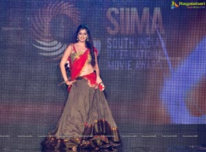 2012 South Indian International Movie Awards SIIMA Day 1 Photos