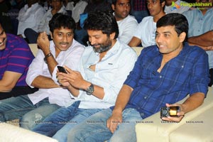 Trivikiram's Julayi Audio Release Functions