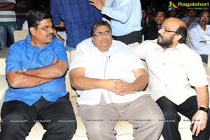 Trivikiram's Julayi Audio Release Functions