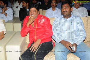 Trivikiram's Julayi Audio Release Functions