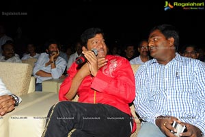 Trivikiram's Julayi Audio Release Functions