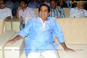 Trivikiram's Julayi Audio Release Functions