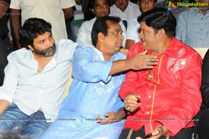 Trivikiram's Julayi Audio Release Functions