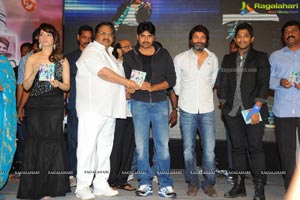 Trivikiram's Julayi Audio Release Functions