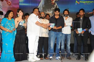 Trivikiram's Julayi Audio Release Functions