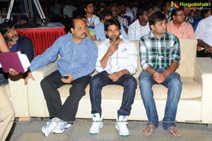 Trivikiram's Julayi Audio Release Functions