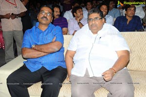 Trivikiram's Julayi Audio Release Functions