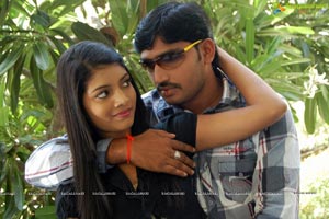 Bandham 2012 Movie Gallery