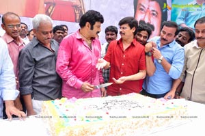 Nandamuri Balakrishna 2013 Birthday Celebrations