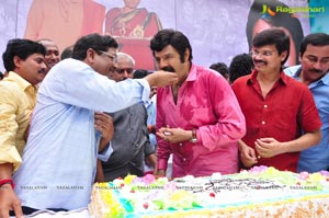 Nandamuri Balakrishna 2013 Birthday Celebrations