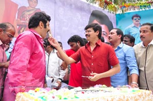 Nandamuri Balakrishna 2013 Birthday Celebrations