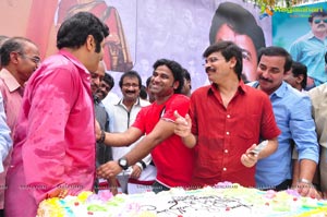 Nandamuri Balakrishna 2013 Birthday Celebrations