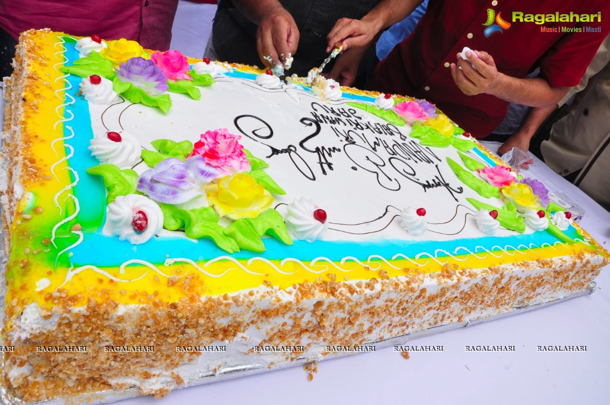 Balakrishna 2013 Birthday Celebrations