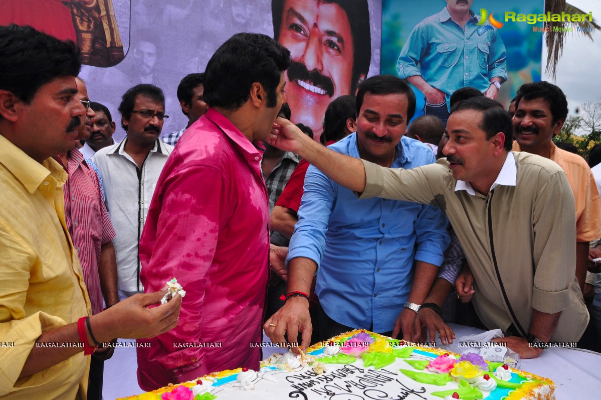 Balakrishna 2013 Birthday Celebrations