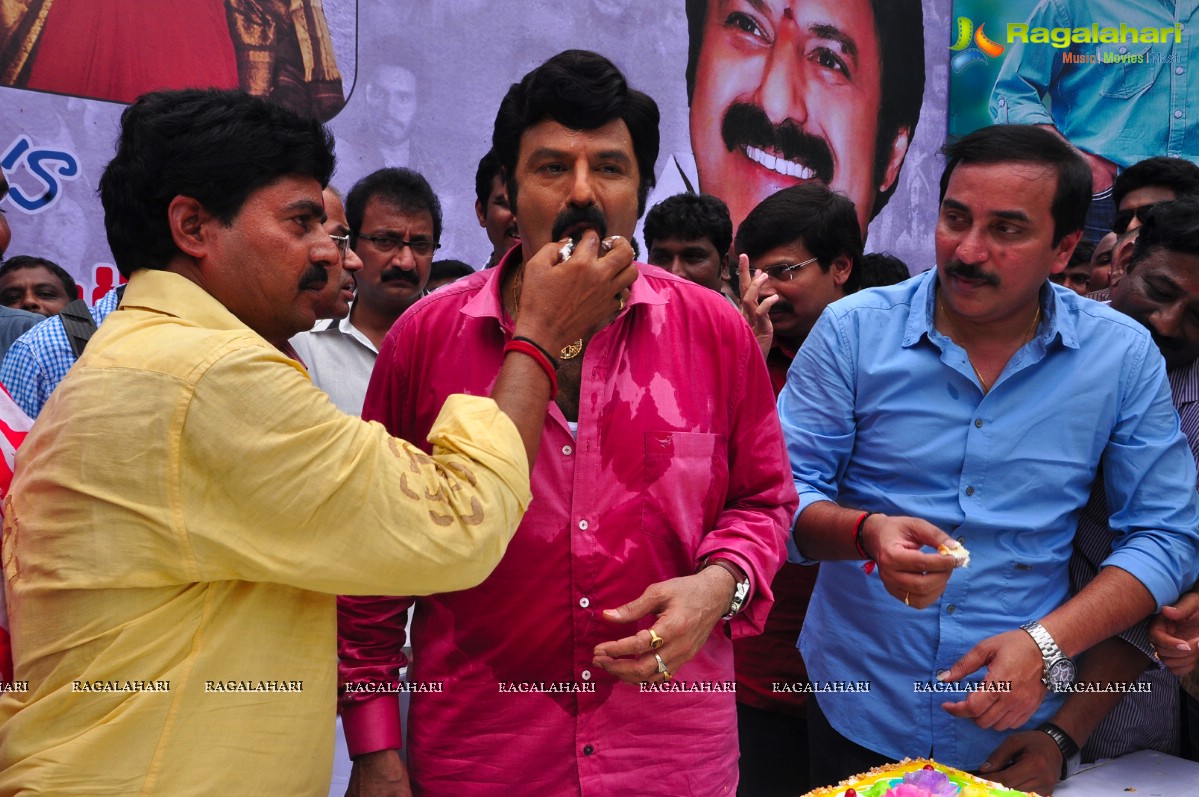 Balakrishna 2013 Birthday Celebrations