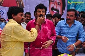 Nandamuri Balakrishna 2013 Birthday Celebrations