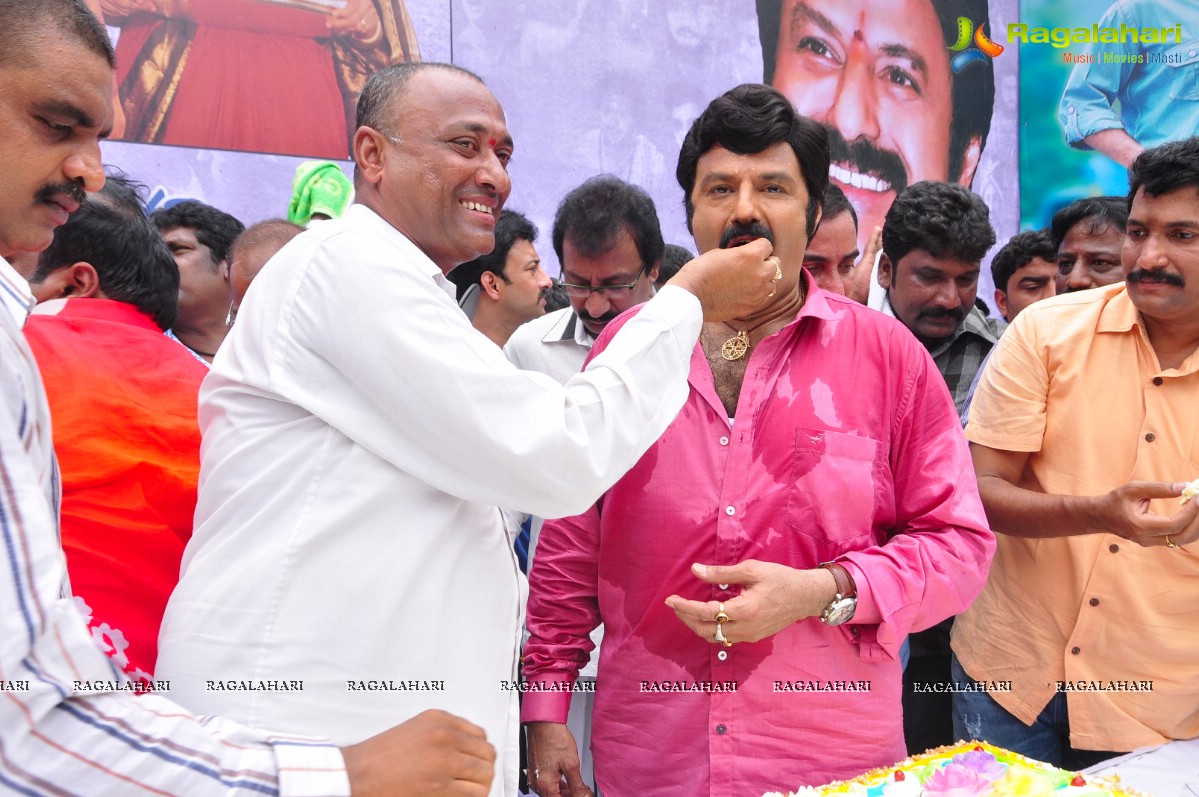 Balakrishna 2013 Birthday Celebrations