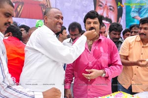 Nandamuri Balakrishna 2013 Birthday Celebrations