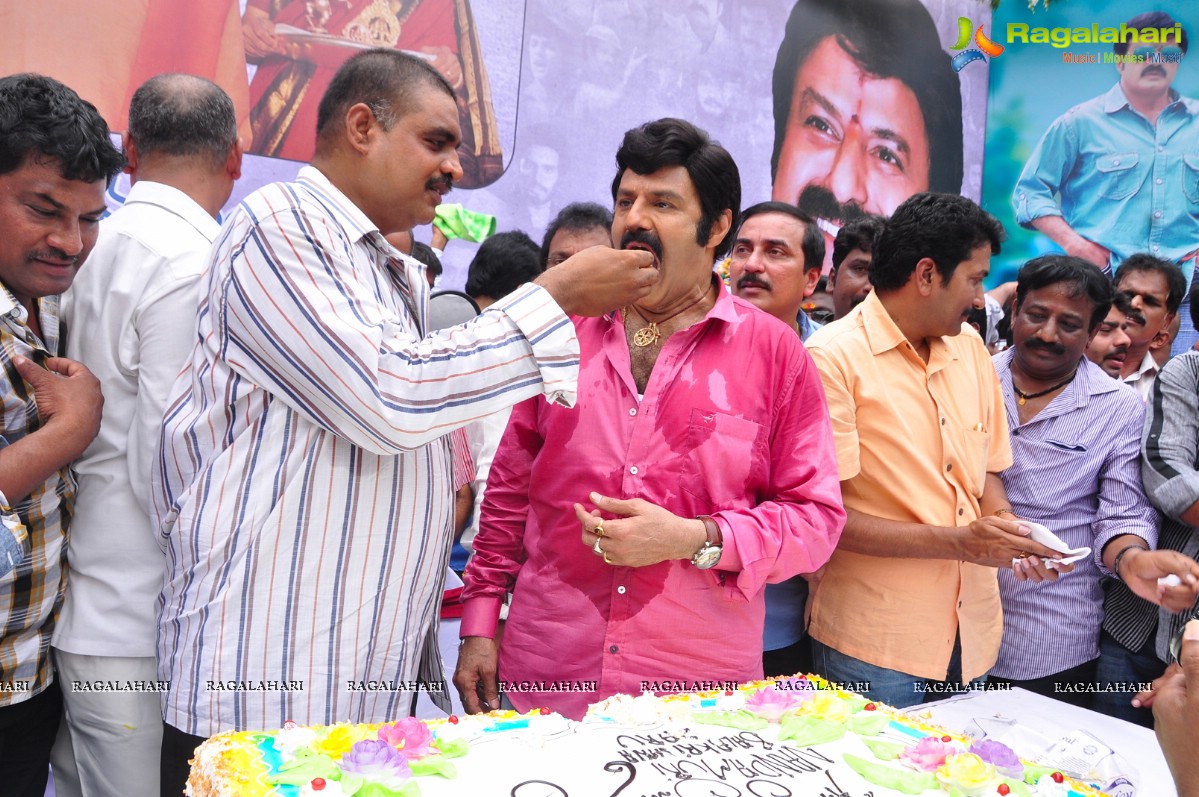 Balakrishna 2013 Birthday Celebrations