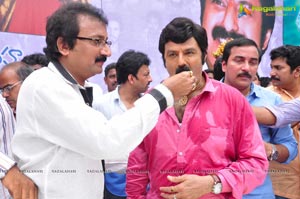 Nandamuri Balakrishna 2013 Birthday Celebrations