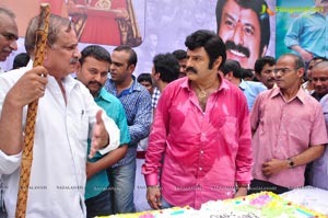 Nandamuri Balakrishna 2013 Birthday Celebrations