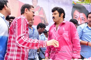 Nandamuri Balakrishna 2013 Birthday Celebrations