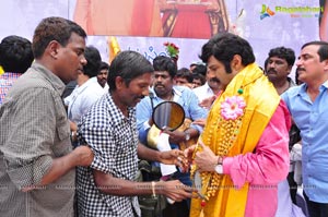 Nandamuri Balakrishna 2013 Birthday Celebrations