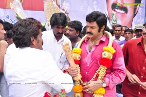 Nandamuri Balakrishna 2013 Birthday Celebrations