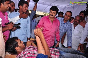 Nandamuri Balakrishna 2013 Birthday Celebrations