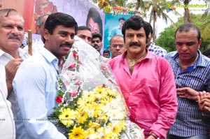 Nandamuri Balakrishna 2013 Birthday Celebrations