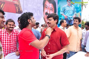 Nandamuri Balakrishna 2013 Birthday Celebrations