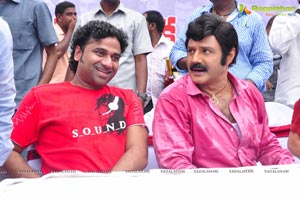 Nandamuri Balakrishna 2013 Birthday Celebrations