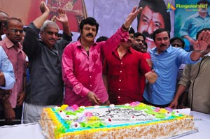 Nandamuri Balakrishna 2013 Birthday Celebrations